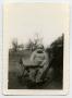 Photograph: [Photograph of a Small Child in a Stroller]