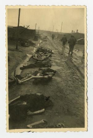 [Dead Bodies at Landsburg, Germany Concentration Camp]