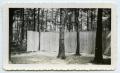 Photograph: [Photograph of a Scaling Wall]