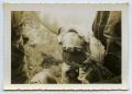 Photograph: [Photograph of Soldiers Holding a Tortoise]