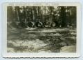 Photograph: [Photograph of an Obstacle Course]