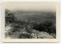 Photograph: [Photograph of a Distant Field]