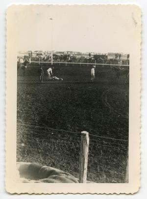 [Photograph of a Rodeo]