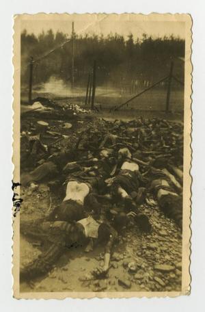 Primary view of object titled '[Photograph of a Pile of Dead Bodies]'.