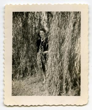 [Photograph of a Lady by a Willow]