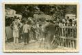 Photograph: [Photograph of Elephant in Crowd]