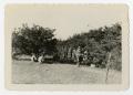 Photograph: [Photograph of a Chow Line on Bivouac at Camp Barkeley]