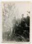 Photograph: [Soldiers Gathered in the Brush]