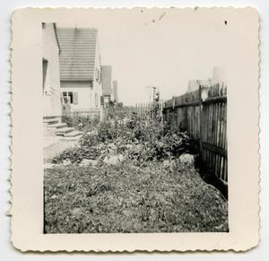 [Photograph of a Garden in a German Backyard]