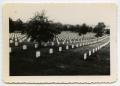 Photograph: [Photograph of Arlington National Cemetery]
