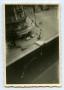 Thumbnail image of item number 1 in: '[Photograph of Dijon, France Cafe]'.
