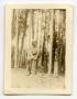 Photograph: [Photograph of Soldier in Black Forest]