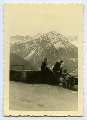 [Photograph of Alps Scenic View]