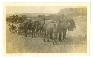 Primary view of object titled '[Photograph of Men Traveling in a Wagon to the Mountains]'.