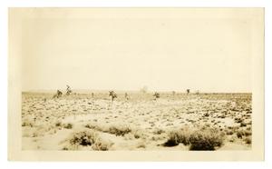 [Photograph of a Bomb Exploding in the Mojave Desert]