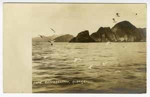 Primary view of object titled '[Postcard of Cape Resurrection, Alaska]'.