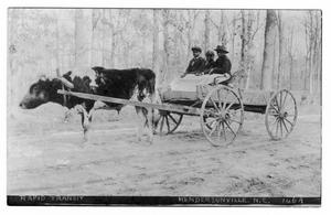Primary view of object titled '[Postcard of Young Boys in Cattle-Pulled Wagon]'.