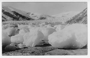 [Postcard of Taku Glacier in Alaska]
