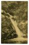 Thumbnail image of item number 1 in: '[Postcard of Pace Falls in Saluda, North Carolina]'.