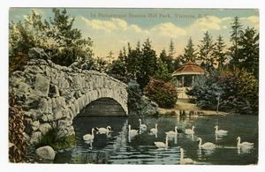 [Postcard of Beacon Hill Park, Victoria, B.C., Canada]