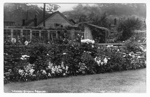 [Postcard of Webbers Garden]
