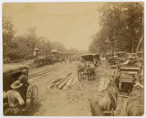 Primary view of object titled '[Railroad near Llano]'.