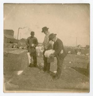 [Men with Cotton, Abilene, Texas]