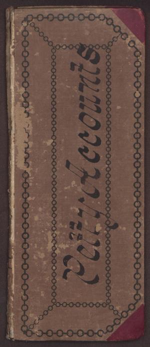 Primary view of object titled '[General Business Ledger: 1888-1890]'.