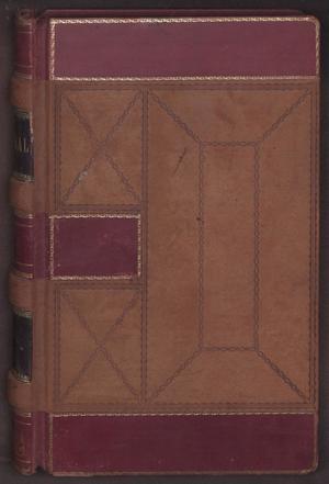 Primary view of object titled '[General Business Ledger: 1888-1895]'.