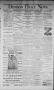 Primary view of Denison Daily News. (Denison, Tex.), Vol. 4, No. 38, Ed. 1 Wednesday, April 5, 1876