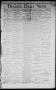 Primary view of Denison Daily News. (Denison, Tex.), Vol. 2, No. 275, Ed. 1 Wednesday, January 13, 1875