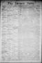 Primary view of The Denison News. (Denison, Tex.), Vol. 1, No. 28, Ed. 1 Thursday, July 3, 1873