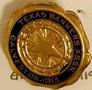 Thumbnail image of item number 1 in: '[Pin has star in center that states: "TEXAS BANKERS ASSN.  GALVESTON, 1913"]'.