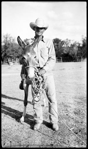 [Cowboy with Mule]