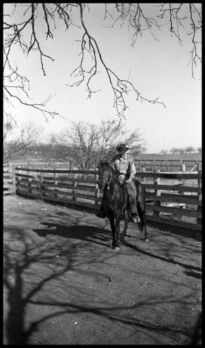 [Mounted Cowboy by Fence]