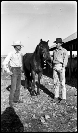 Two cowboys and horse at pens