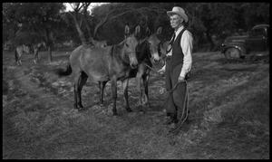 [George Newcomb with a Team of Mules]