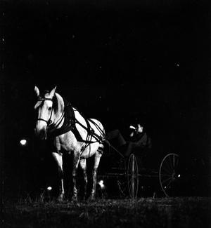 [Boy in a Horse Drawn Carriage at Night]