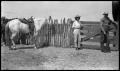 Photograph: [People and Horses by a Fence]
