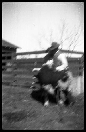 [Blurred Man and Toddler with a Calf]