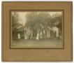Photograph: [Photograph of Three Generations of Pounds by their House]
