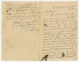 Thumbnail image of item number 3 in: '[Letter from Amalia Riley to Dr. Joseph Pound, August 28, 1903]'.