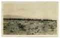 Photograph: [Photograph of Soldiers Ready for Drill]