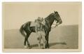 Postcard: [Photograph of Soldier Standing by Horse]