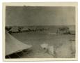 Thumbnail image of item number 1 in: '[Photograph of Soldier's Tents]'.