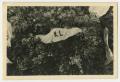 Thumbnail image of item number 1 in: '[Photograph of a Banner Lying on a Bed of Flowers]'.