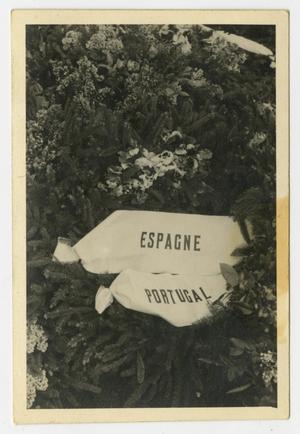 [Photograph of Two Banners Lying in a Bed of Flowers]