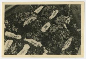 [Photograph of a Large Flower Bed with a Number of Banners Lying on Top]
