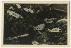 [Photograph of Flowers and Banners in a Memorial Site]