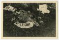Photograph: [Photograph of Four Banners Attached to a Flower Bed]
